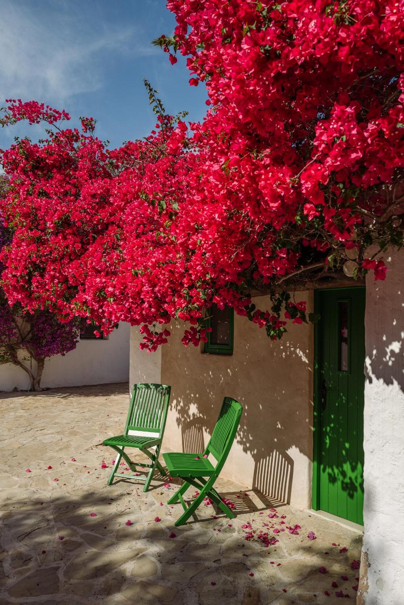 Casa La Vista Bed & Breakfast Sant Joan De Labritja