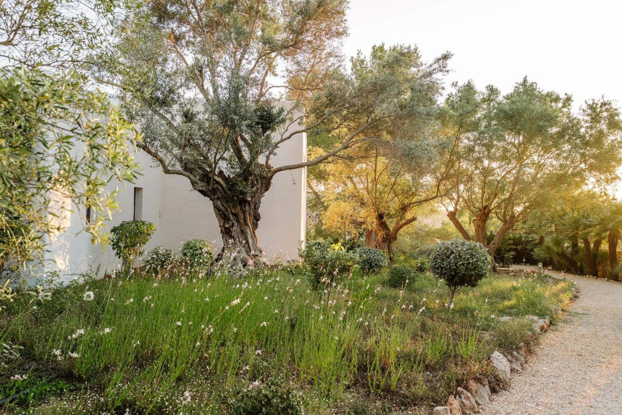 Bed & Breakfast Casa La Vista