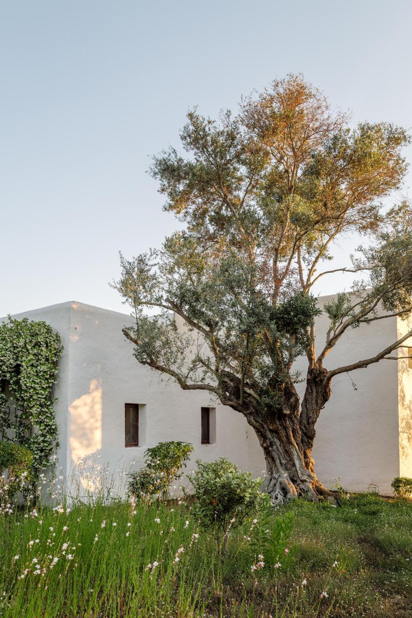 Casa La Vista Bed & Breakfast