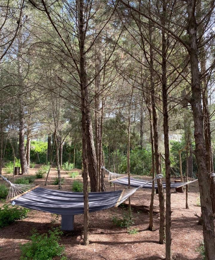 Pep De Sa Guaita Amaizing Design & Outdoor Area 10 Minutes From Beaches Calm Area Ibiza Town