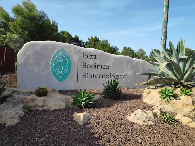 Luxury In San Rafael Ibiza With Large Pool And Views
