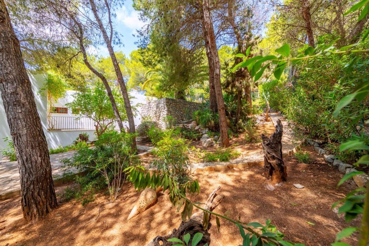 Villa Azumar, Piscina, Jardin Sant Carles de Peralta
