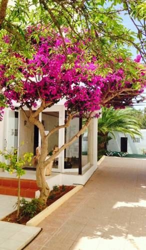 Apartment Sofia Es Canar (Ibiza)