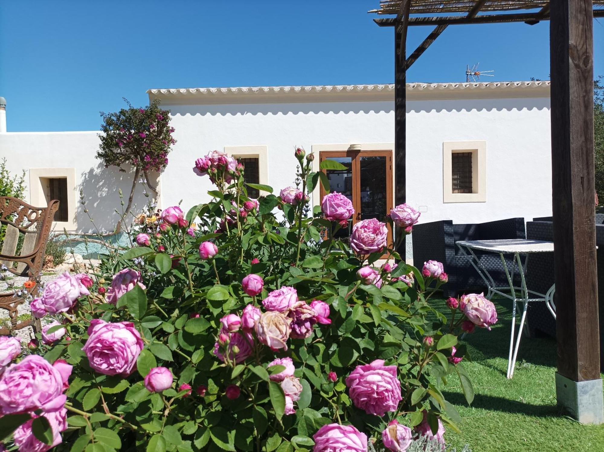 Pep Pardal Casa de férias