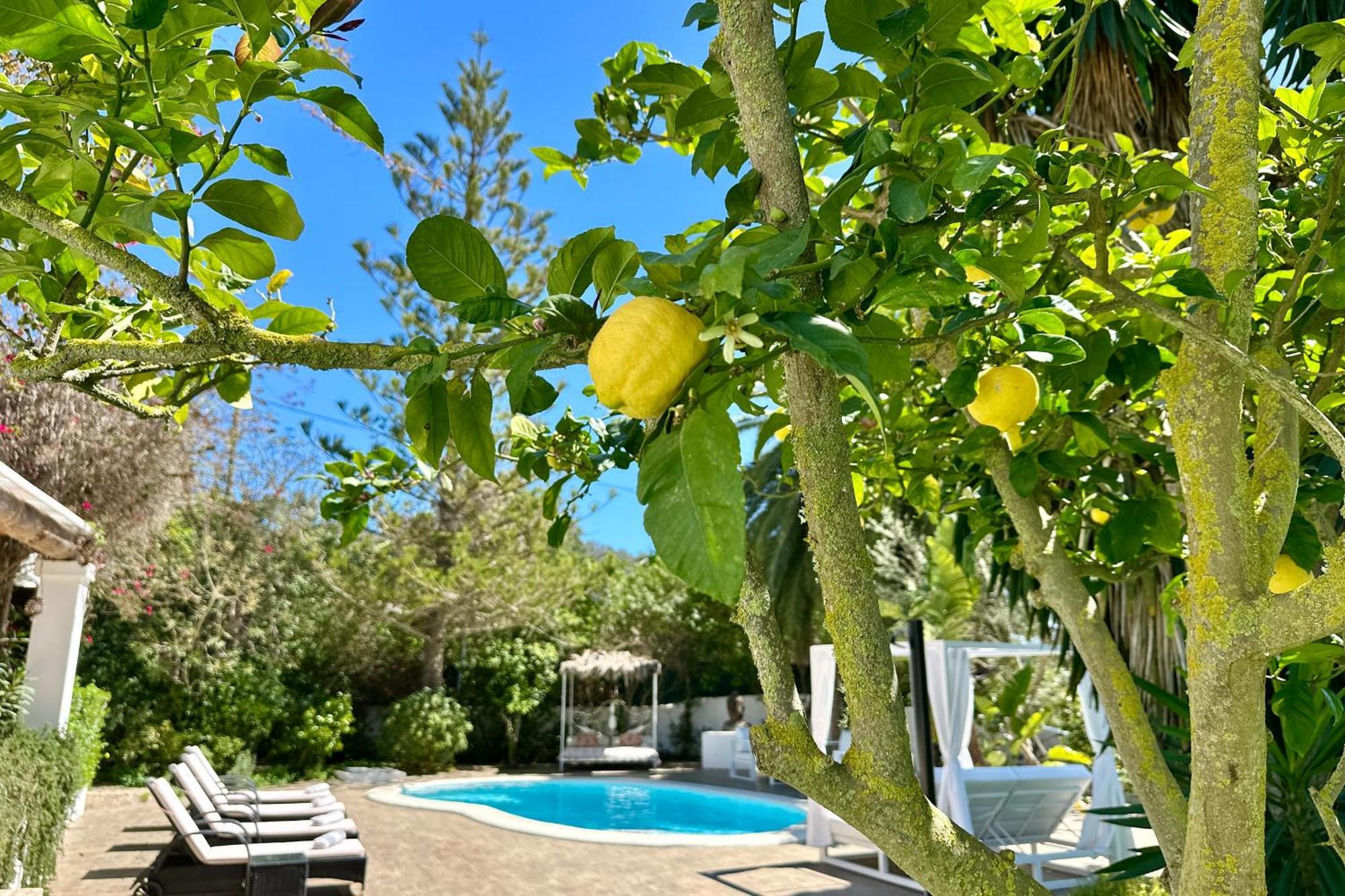 Stylish Ibiza Near Beaches Private Pool & Lush Garden *
