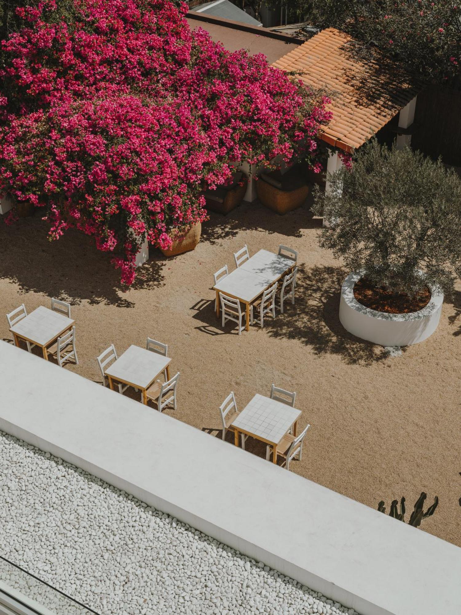 Hotel Ibara Ibiza Boutique Es Canar (Ibiza)