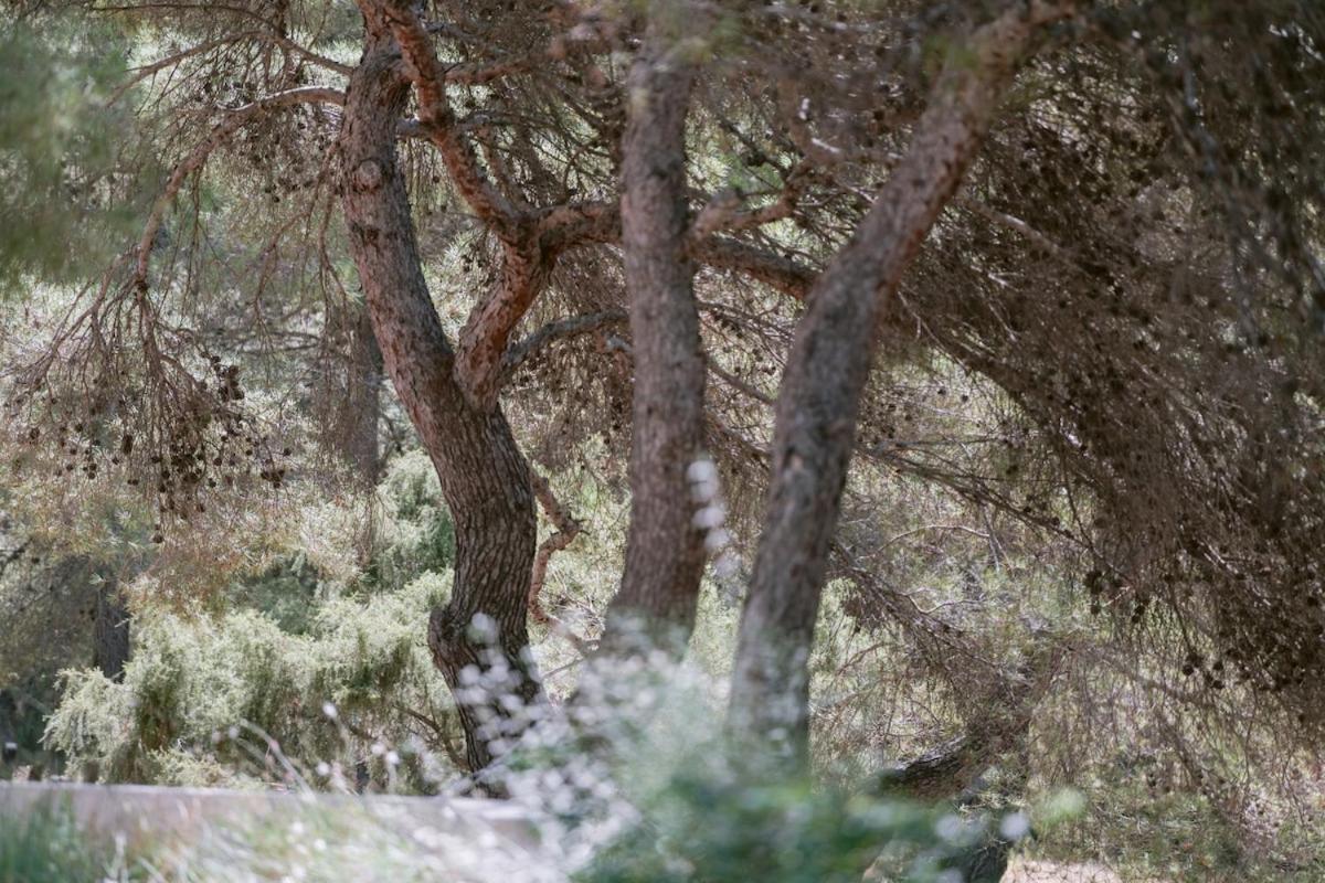 Beautiful 3 Minutes Near Cala Jondal