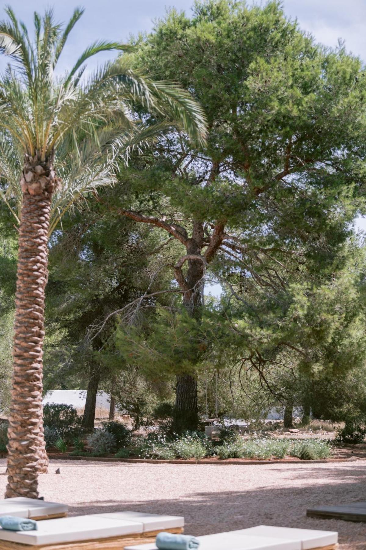 Beautiful 3 Minutes Near Cala Jondal * BALEARIC ISLANDS