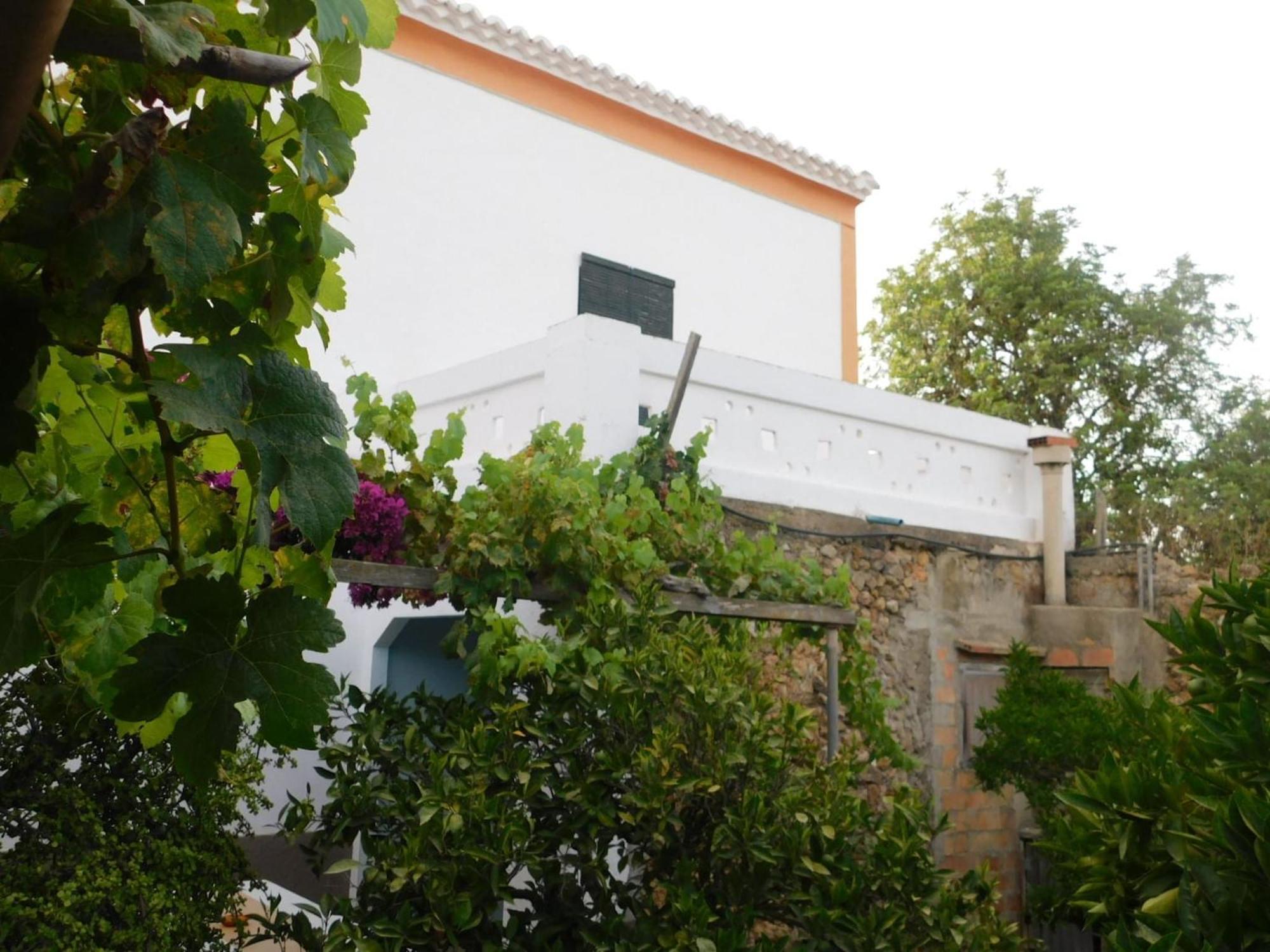 Farm stay El Encanto, Ideal For Families And Groups