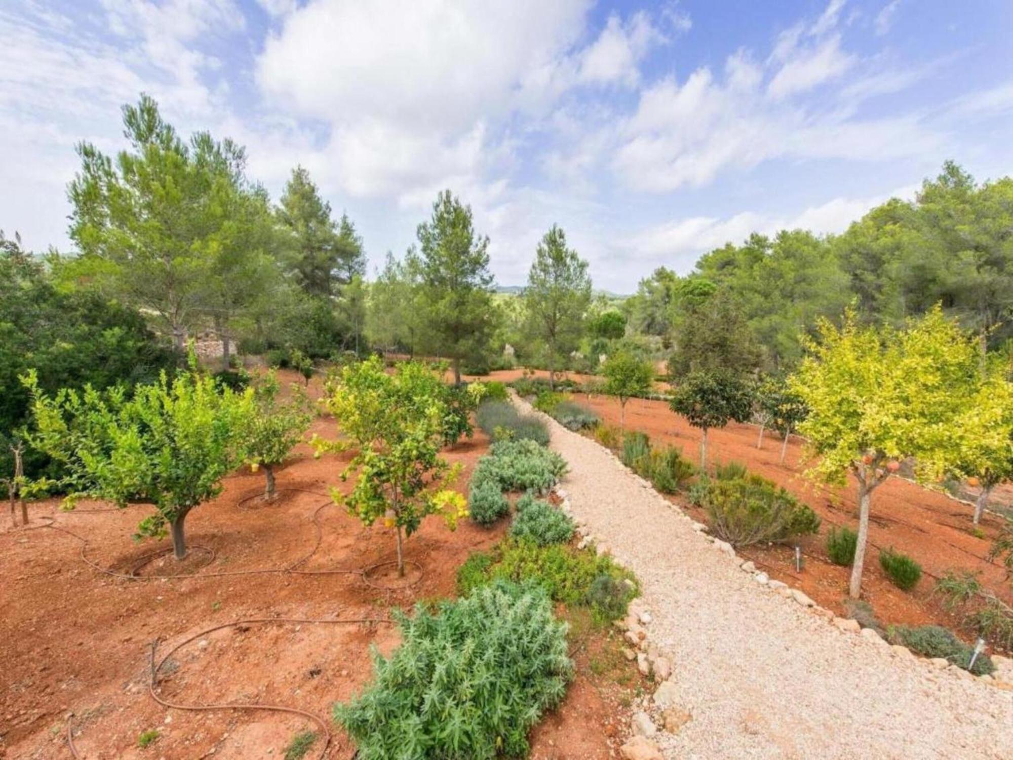 Villa Charming In The Heart Of San Rafael *
