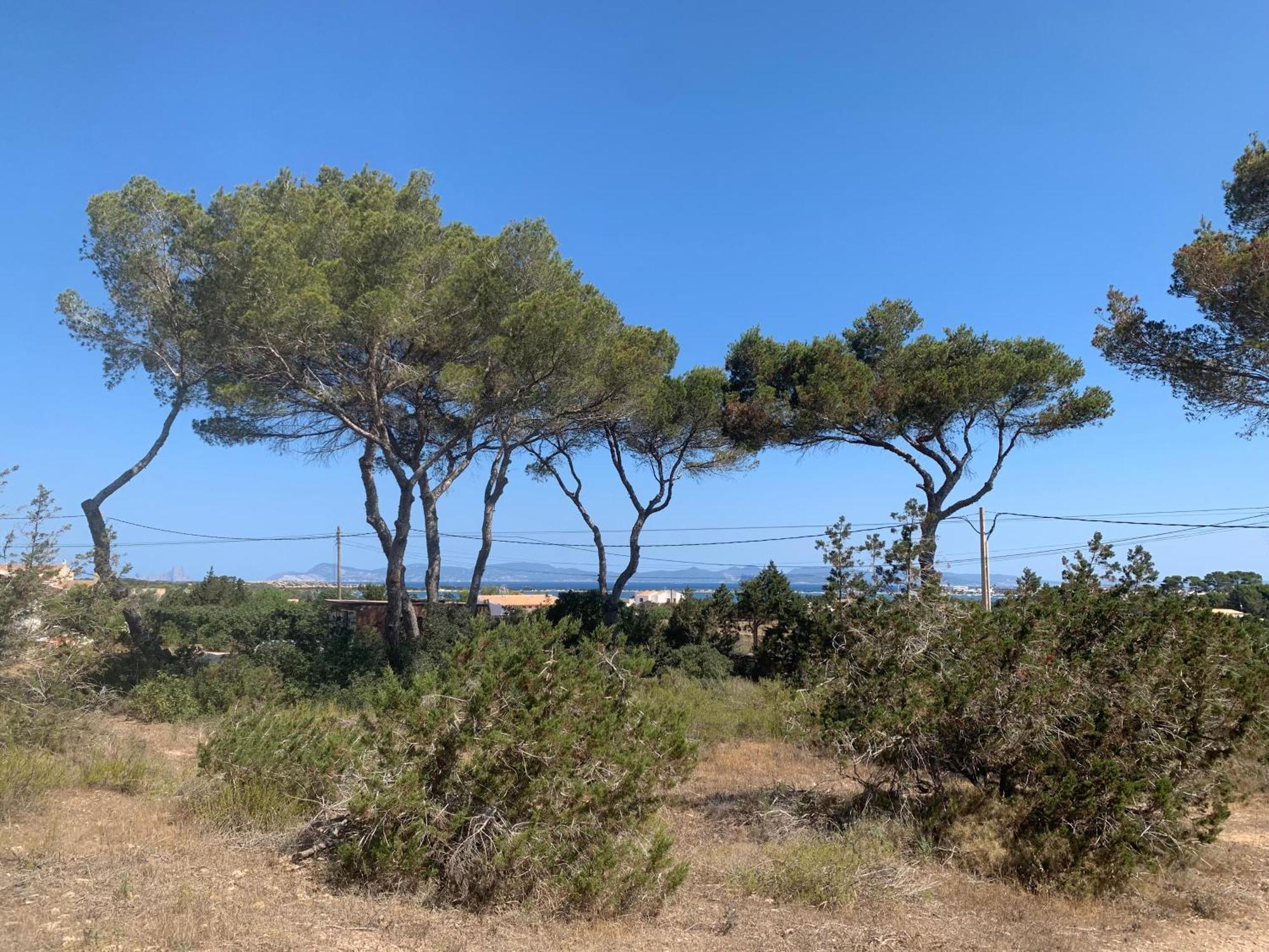 Formentera S'orenella * BALEARIC ISLANDS