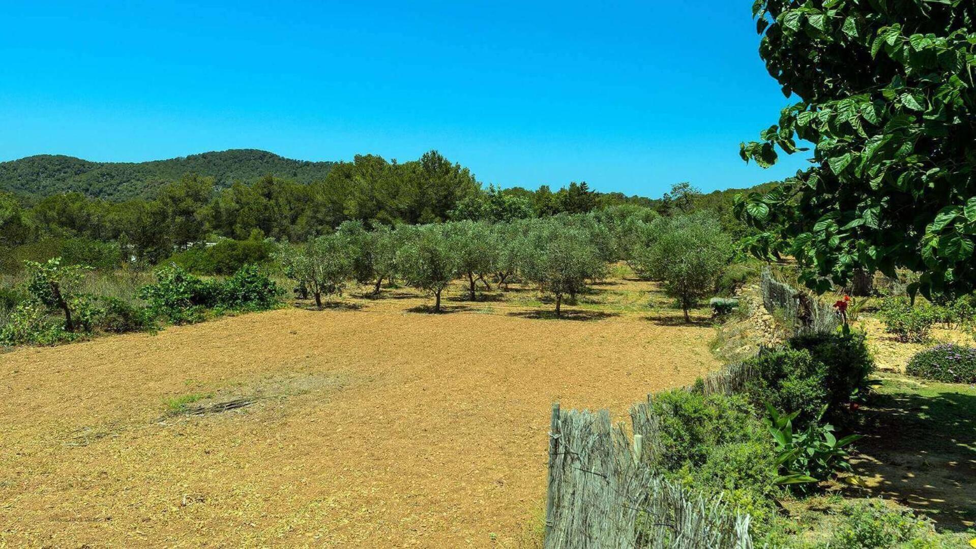 New! Lluis Benirras Villa *