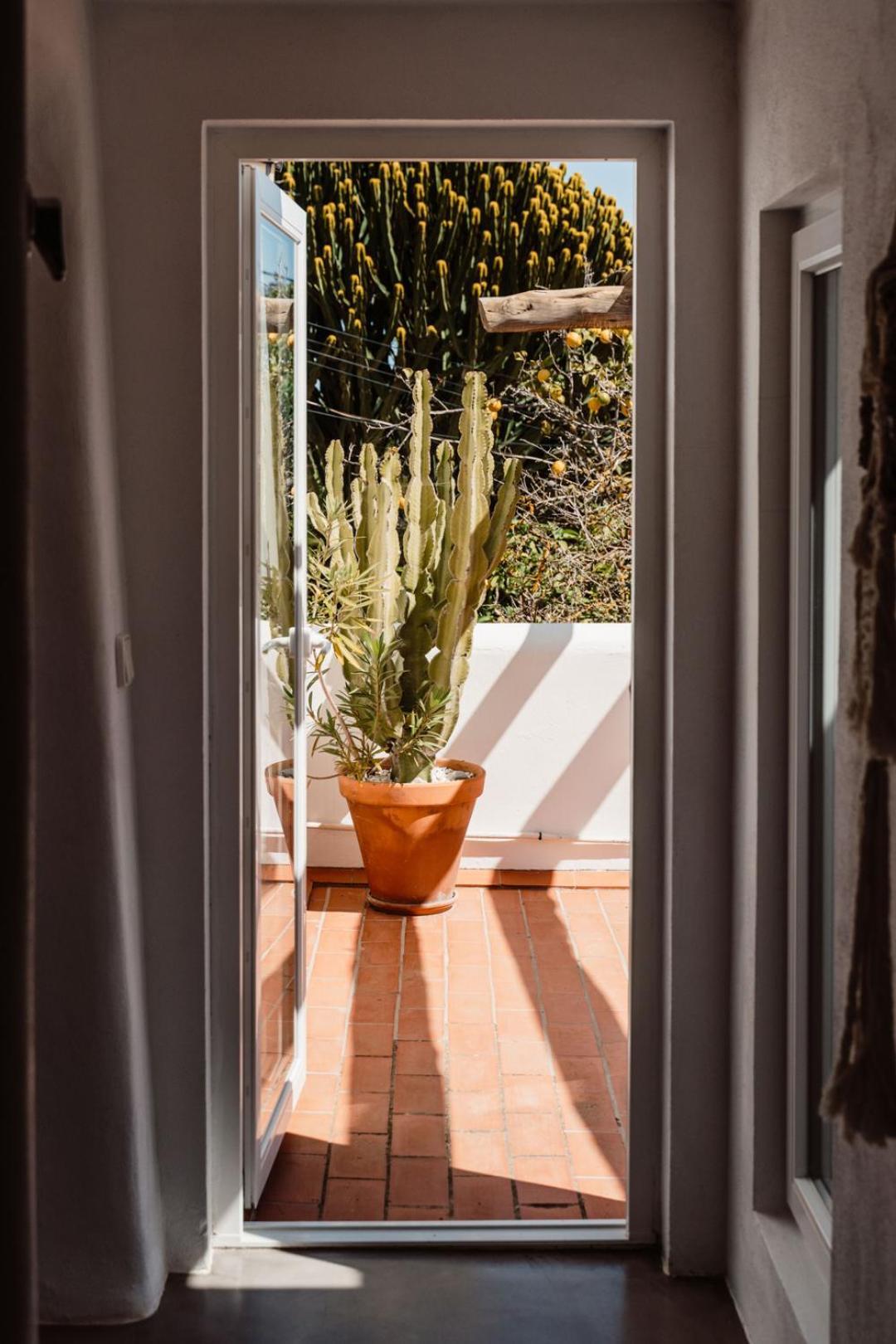 Valley Club - Ibiza 4*