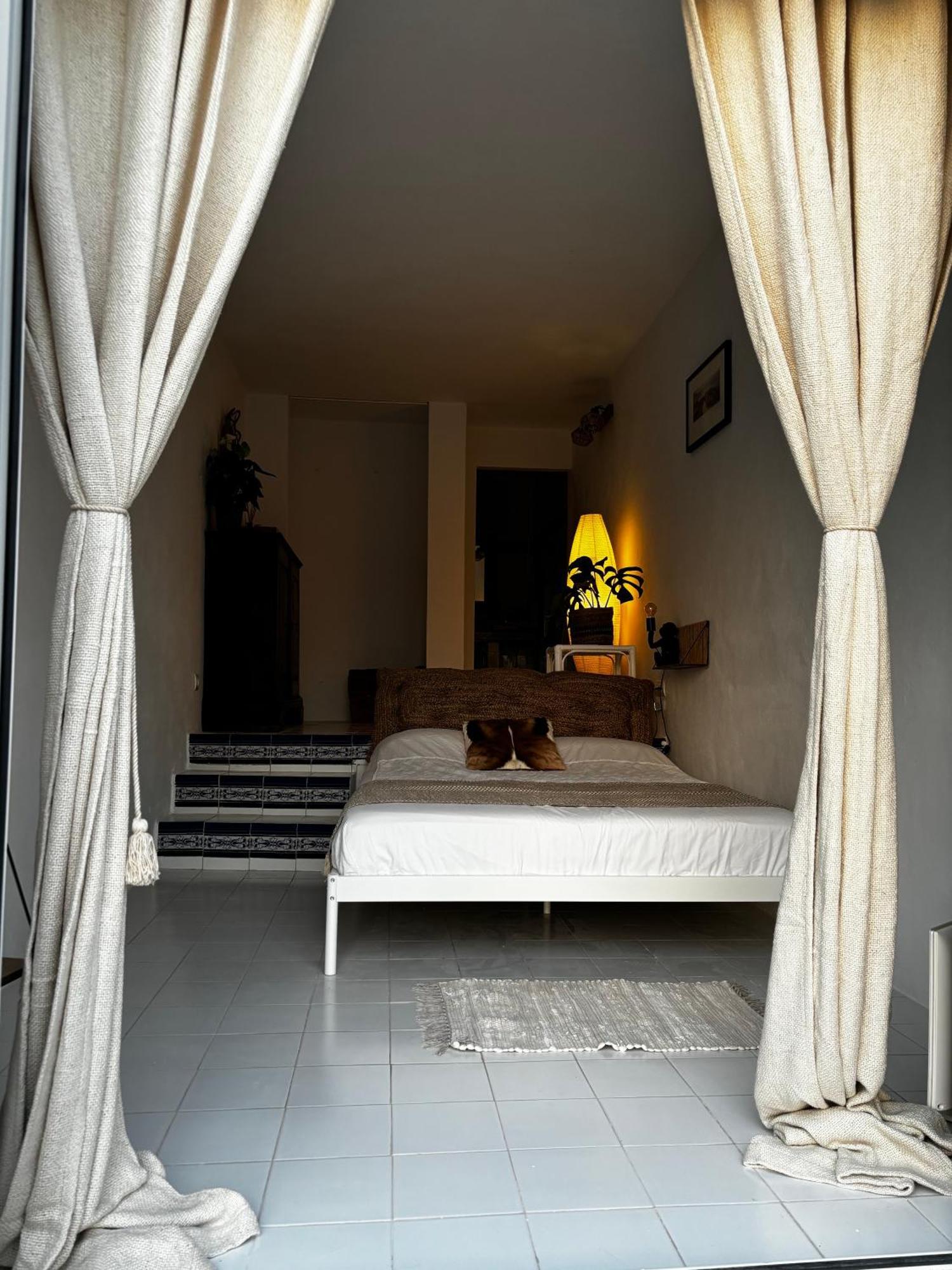 Sunny Casita In Jesus