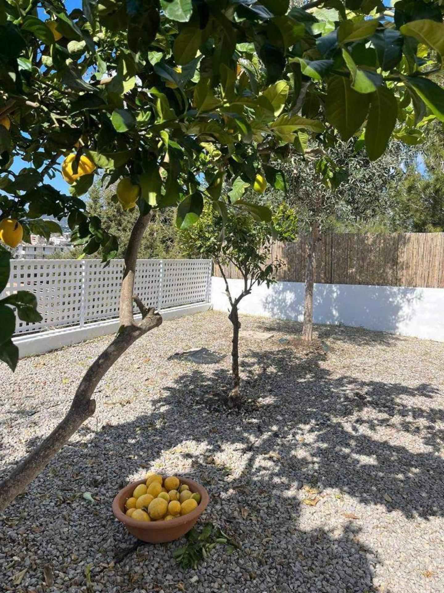 Ibiza Sunshine Hideaway Casa de férias *