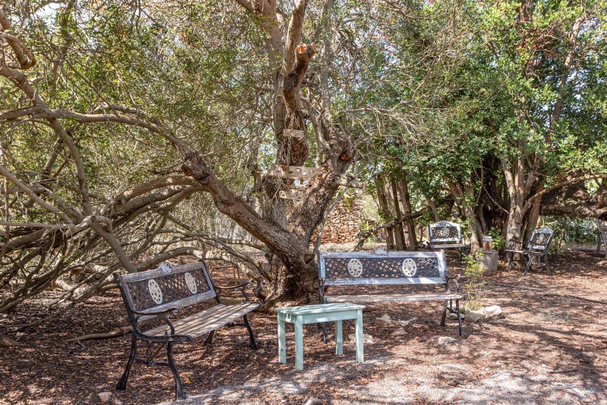 Xicu Apartment BALEARIC ISLANDS