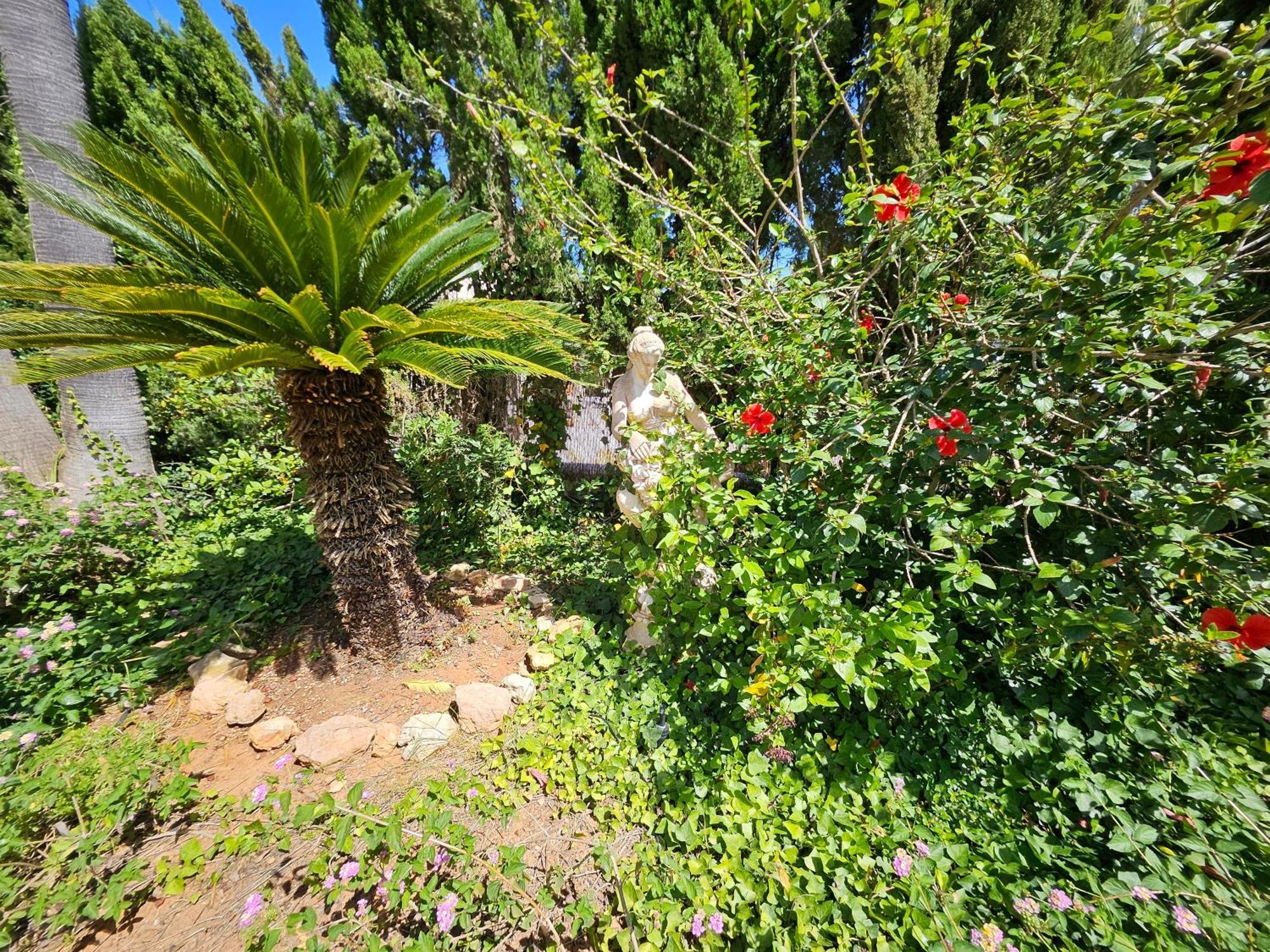 Casa de férias Private Mit Eigenem Pool Unter Palmen *