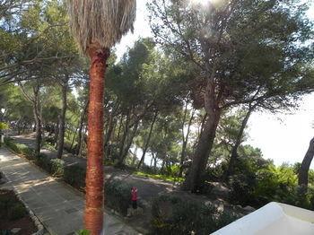 Club Cala Azul Hotel 3*