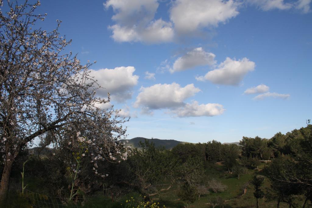 La Pitiusa Agroturismo