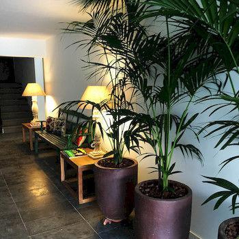 B-llobet Sun & Confort Hotel Ibiza Town