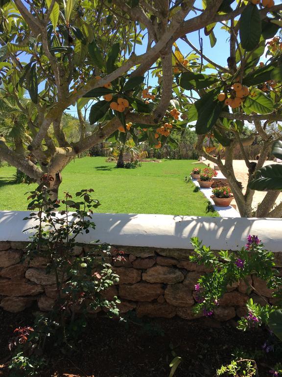 Holiday home Gat Sant Carles de Peralta