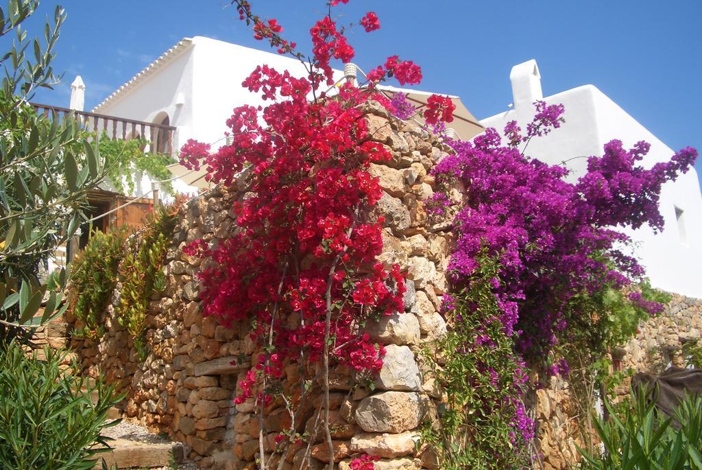 Farm stay Agroturismo Can Pardal Sant Miquel De Balansat