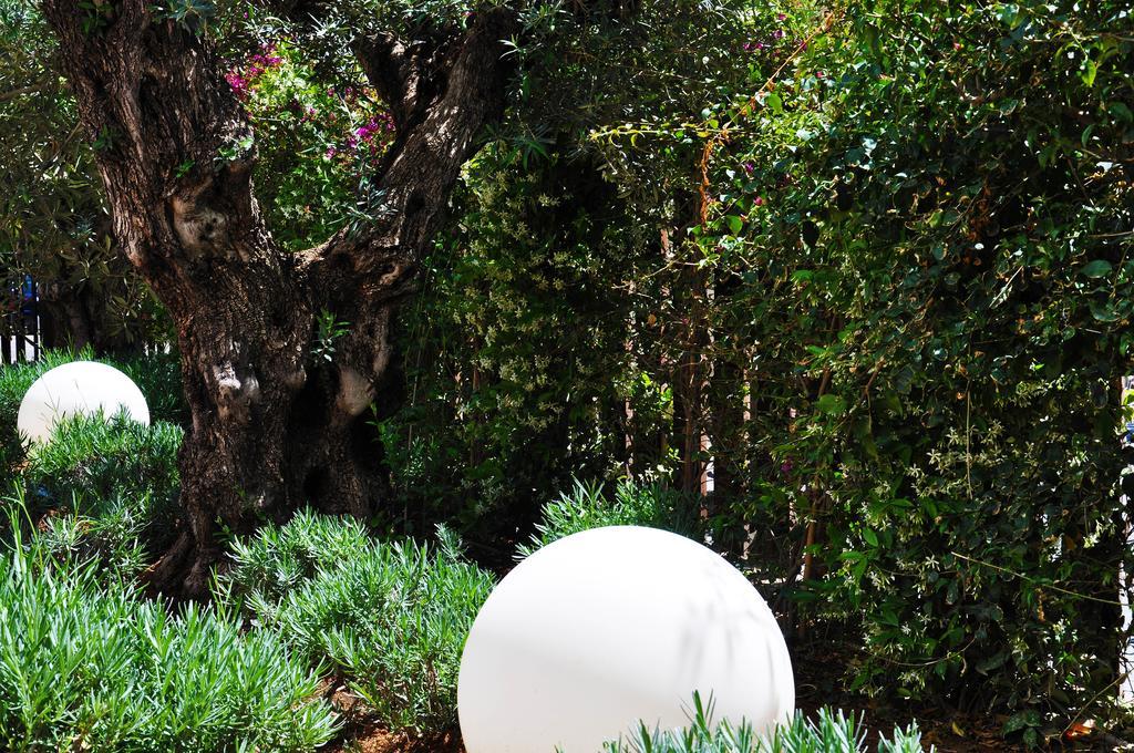 B-llobet Sun & Confort
