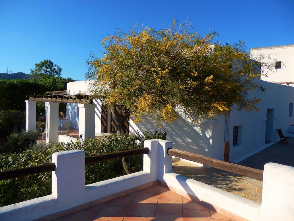 Finca La Colina Santa Eulalia del Río