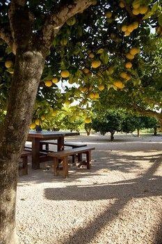 Can Arabi Hotel Puig D'en Valls