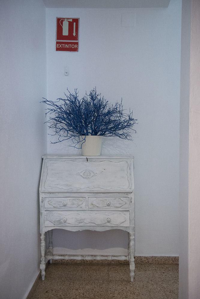 Ripoll * Ibiza-Stadt
