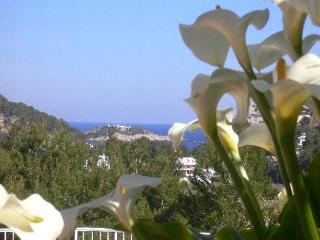 Agroturismo Rural Maries Port de Sant Miguel