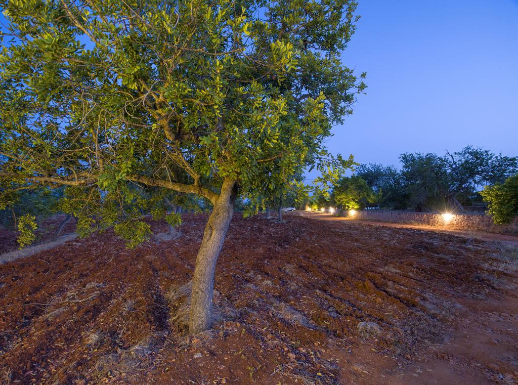 Pousada Cama Santa Gertrudis (Ibiza)