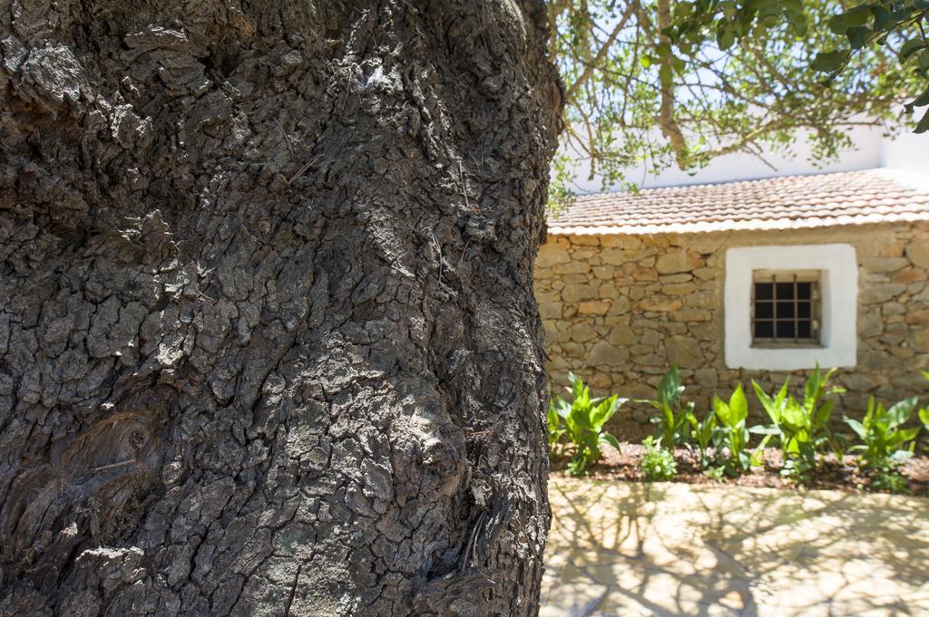 Cama * Santa Gertrudis (Ibiza)