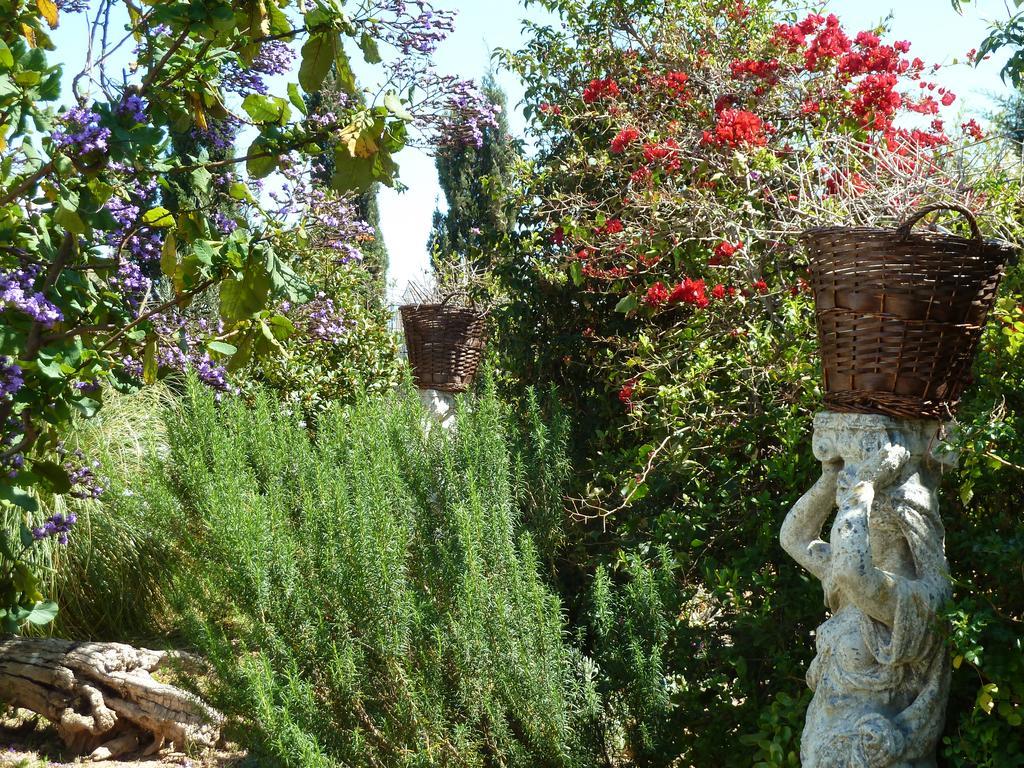 Can Burgos Villa *