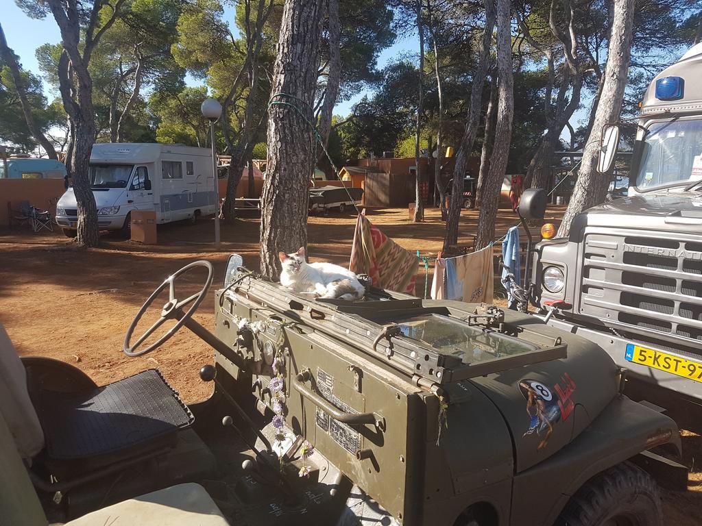 Vintage Camper - And Ibiza Es Cana
