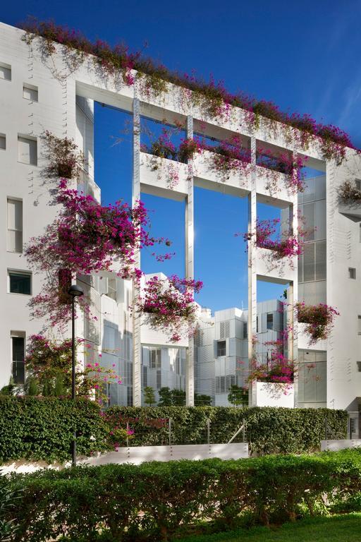 Patio Blanco Marina Botafoch Apartment