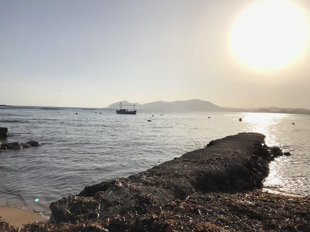 Campingplatz Vintage Camper - And Ibiza *