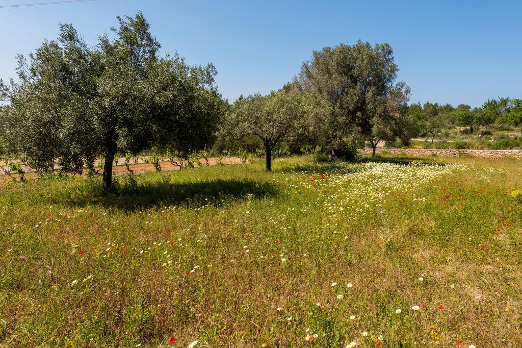 Villa Casa Can March San Antonio (Ibiza)