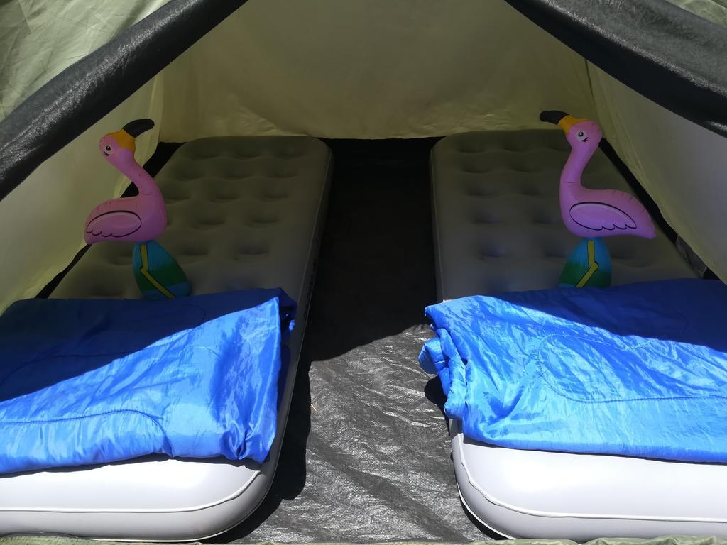 Campsite Ibiza Camp