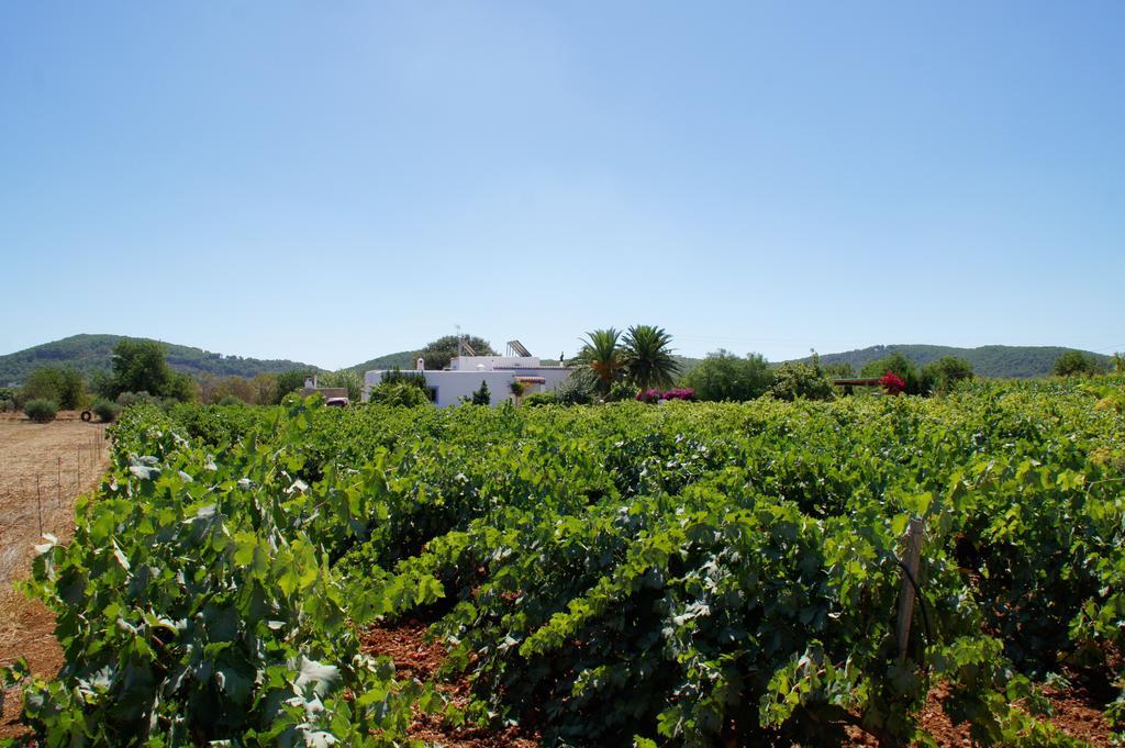 Sa Vinya D'en Palerm Farm stay Sant Miquel De Balansat