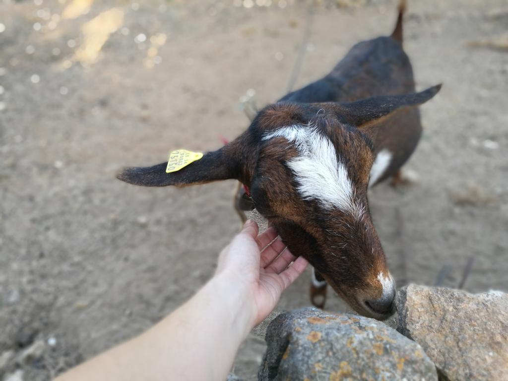 Rural Prats *