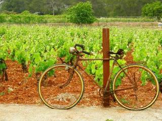 Agroturismo Sa Vinya Den Palerm Santa Gertrudis (Ibiza)