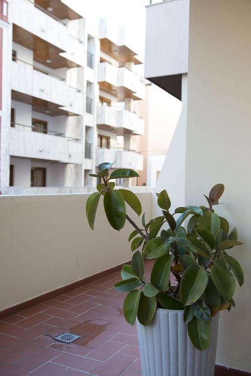 Ripoll * Ibiza-Stadt