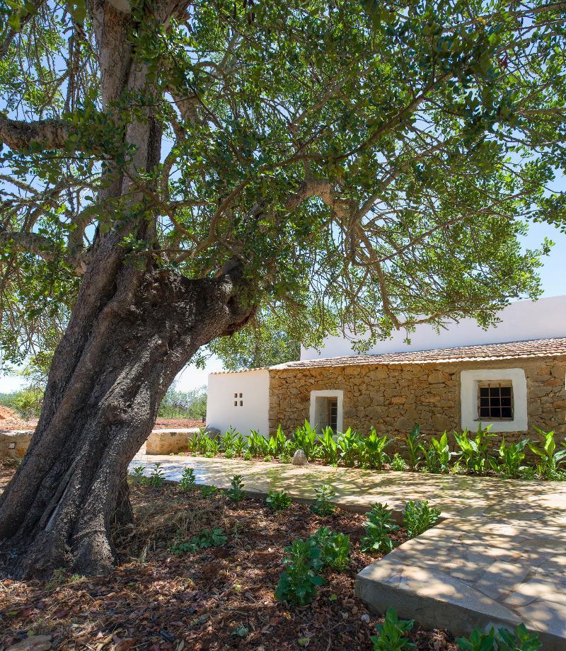 Cama * Santa Gertrudis (Ibiza)