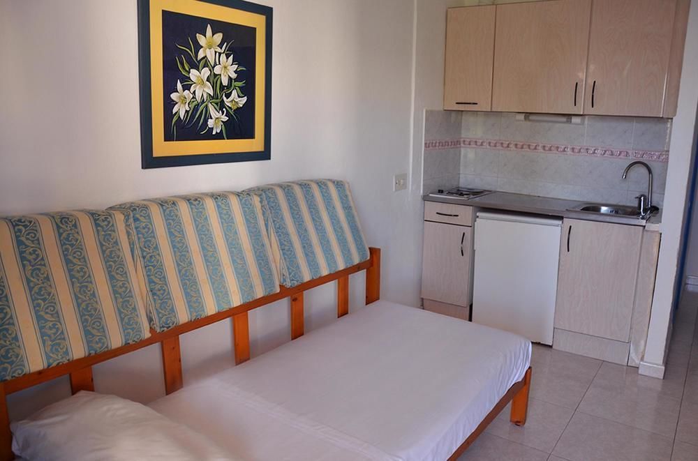 Vibra Jabeque Blue - Adults Only -new Opening 2025 *