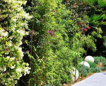 Hotel B-llobet Sun & Confort Ibiza Town
