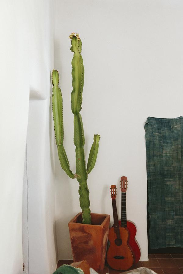 The Finca Ibiza * Santa Gertrudis (Ibiza)