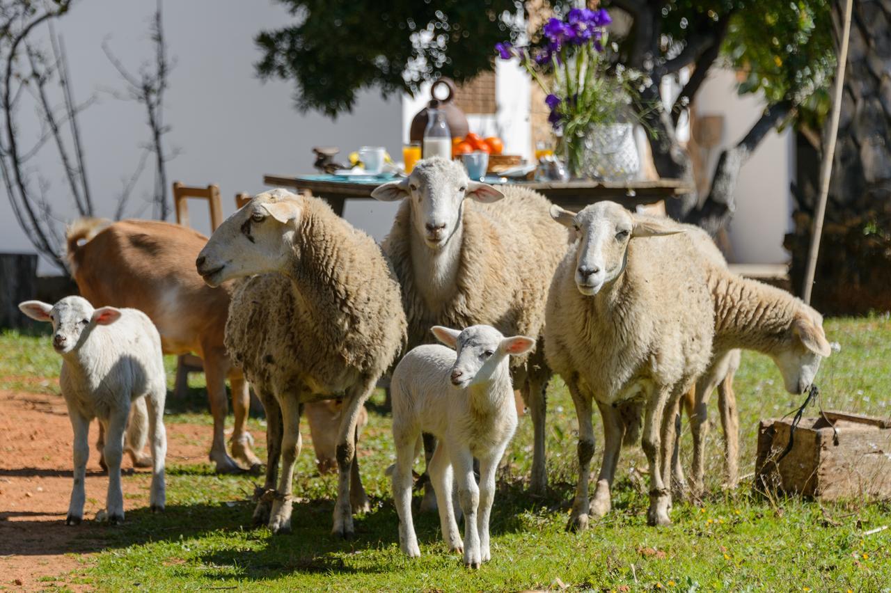 Rural Prats Sant Carles de Peralta