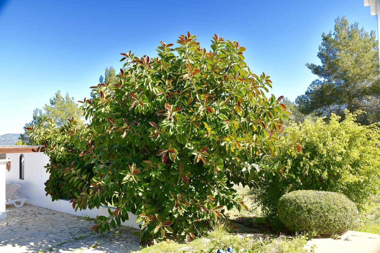 Marlis Villa