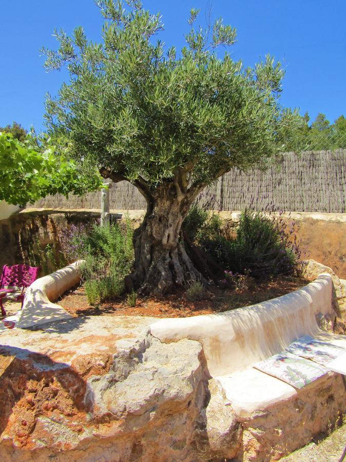 Rural Partit - Adults Only Country house